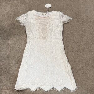 Storets Ivory Lace Dress with Short Sleeves
